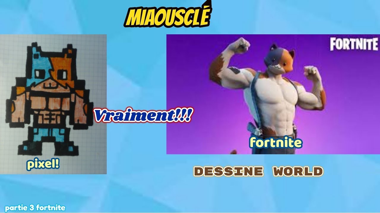 Pixel art skin Fortnite.partie 3 ( skin Miaousclé)