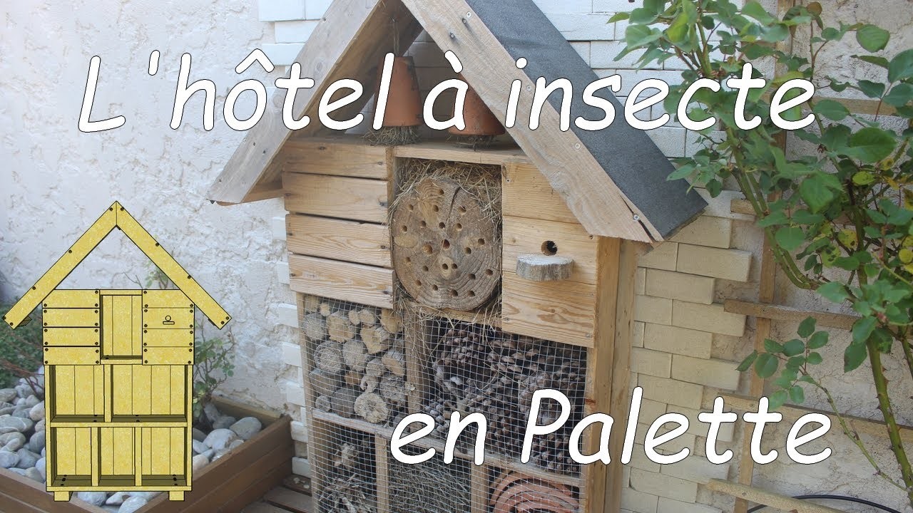 L'Hotel à insectes en palette, très facile ,The insect hotel on a palette,very easy and fun