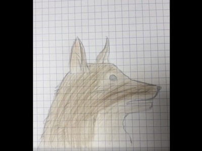 Dessin Chien