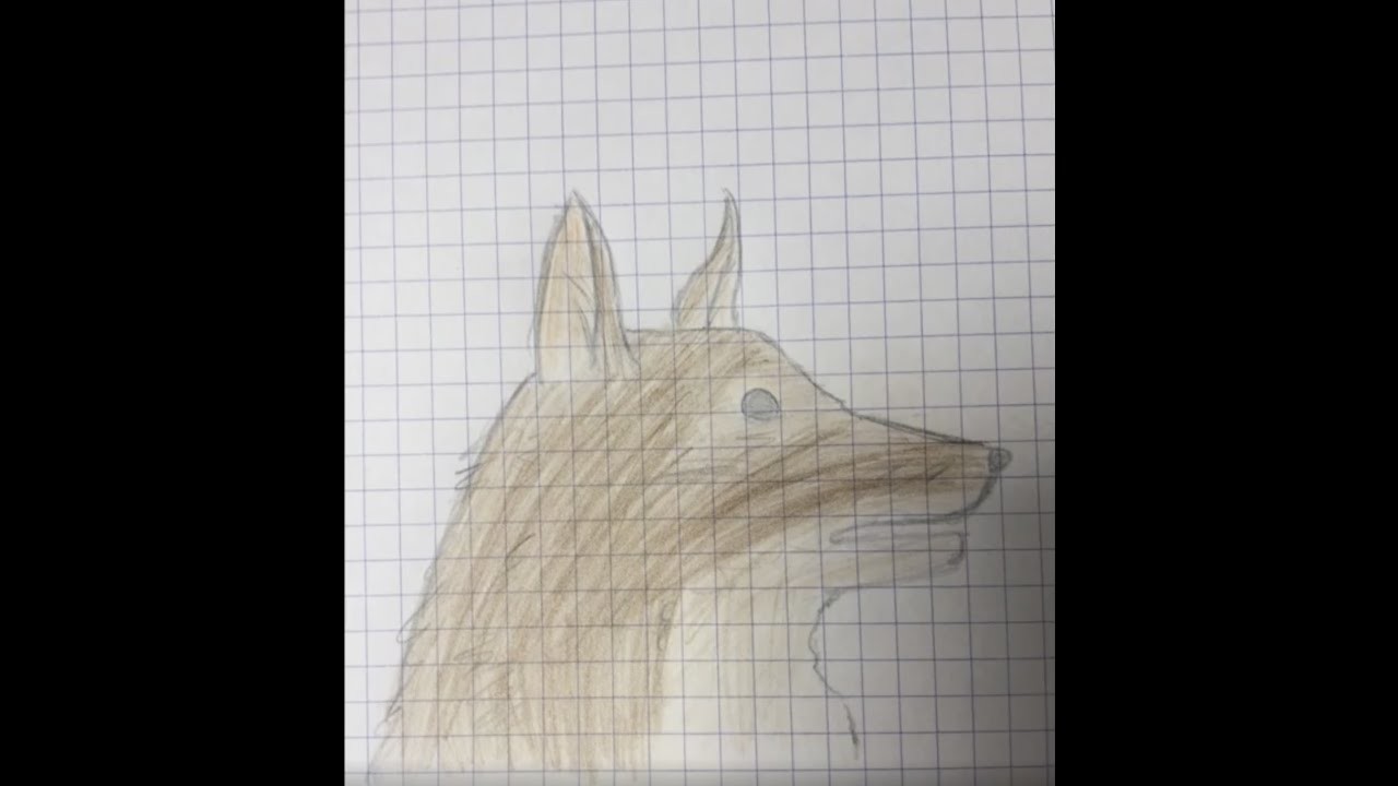 Dessin Chien