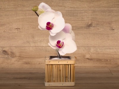 DIY déco : soliflore d'orchidée - Truffaut