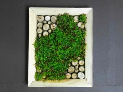 Moss wall DIY