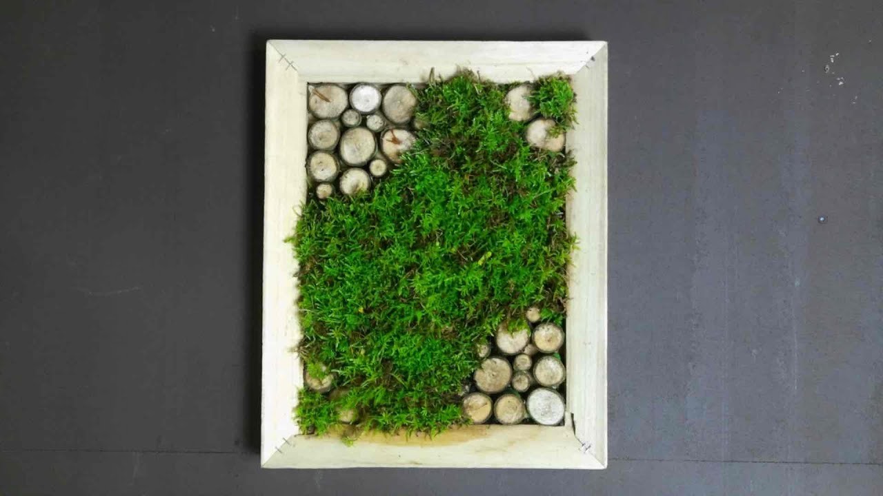 Moss wall DIY