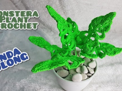 Monstera plant crochet-janda bolong rajut