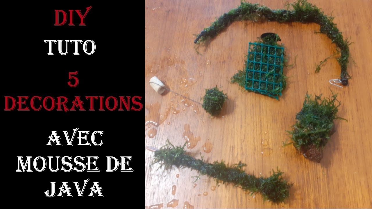 DIY #TUTO 5 décorations avec mousse de java