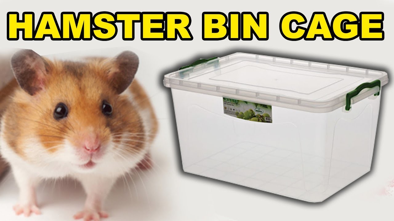 EASY DIY HAMSTER BIN CAGE - Hamster Diy - My Cute Hamster