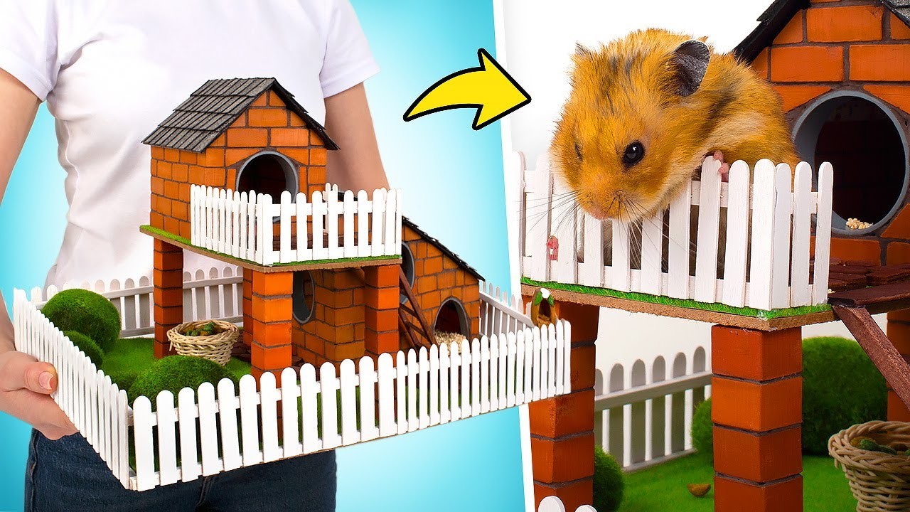 Terrain de Jeu Miniature Pour Hamster en Mini Briques DIY ????????❤️
