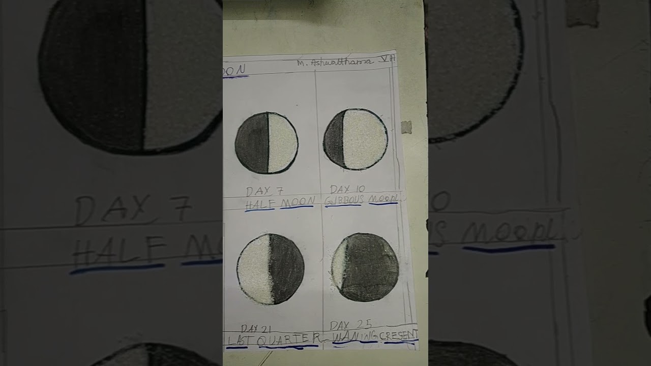 Moon phases