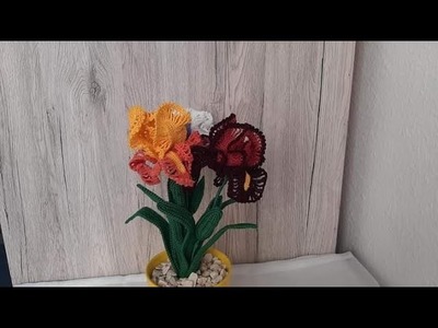 Iris.Stanjenel crosetat.crochet Iris flower