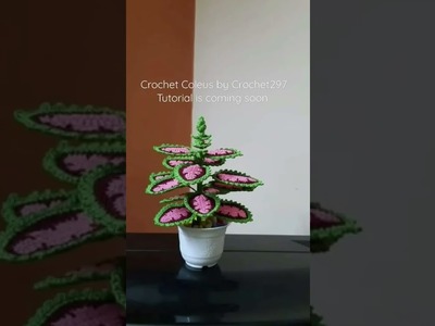 Crochet Coleus Plant ????Tutorial available on my channel's playlist Coleus