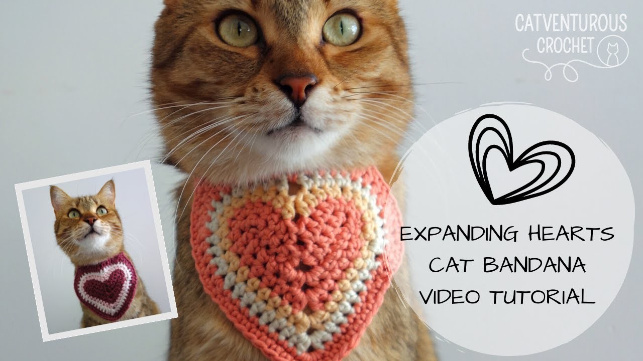 Expanding Hearts Cat Bandana - Catventurous Crochet