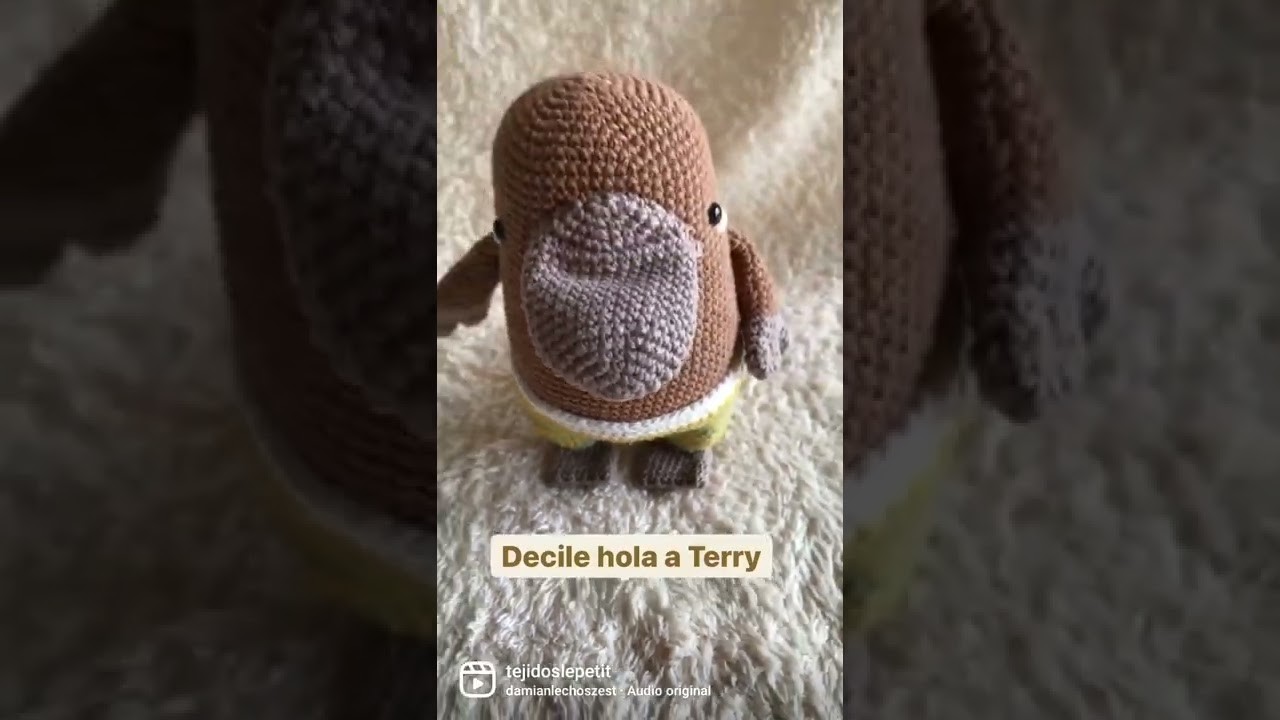 Terry ????   #crochet ##crochetparaprincipiantes #animalestejidos