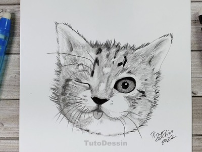 Comment dessiner un chat | Tuto Dessin étape par étape | Dessin au crayon de papier