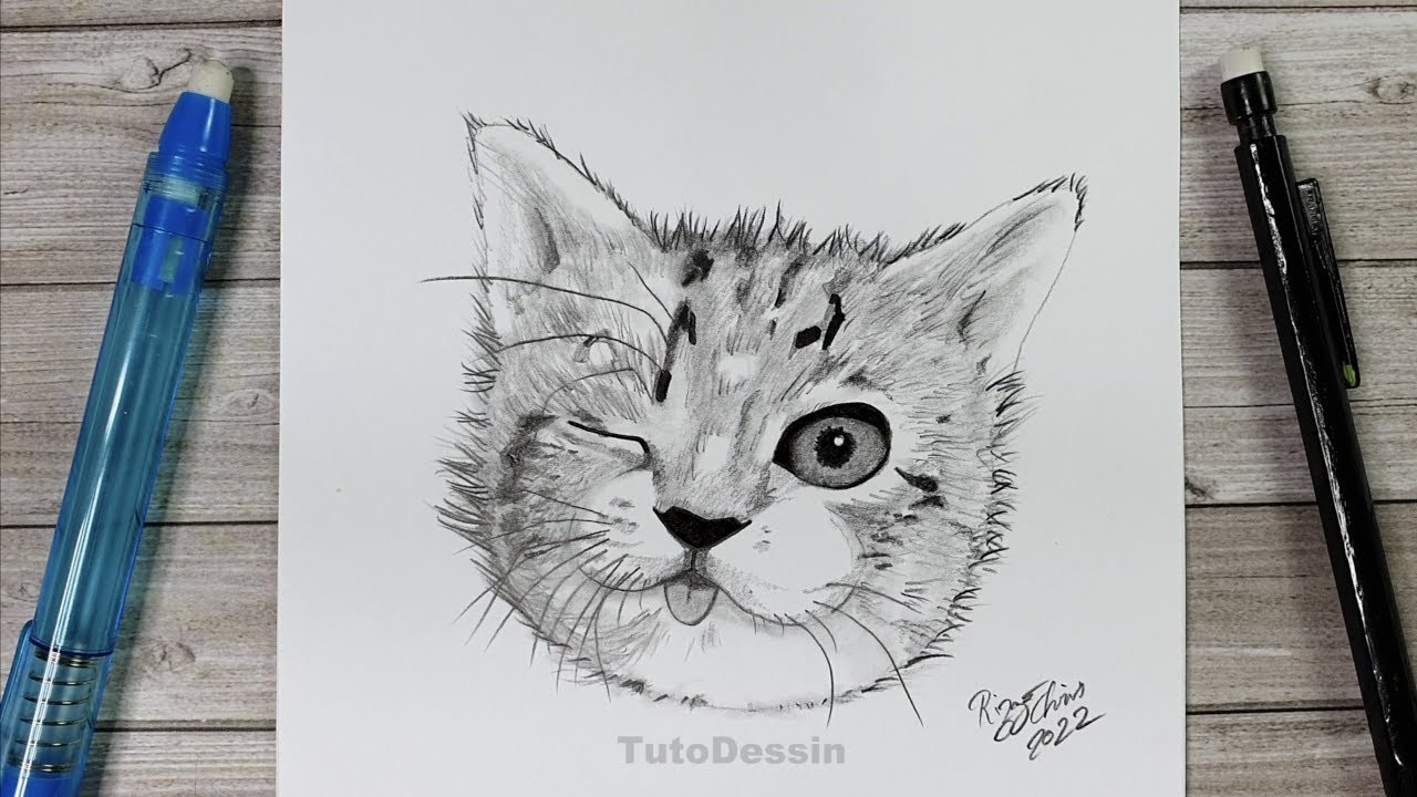 Comment dessiner un chat | Tuto Dessin étape par étape | Dessin au crayon de papier