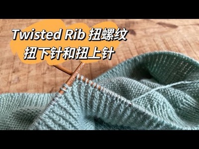 【棒针编织术语101】Twisted Rib 扭下针和扭上针