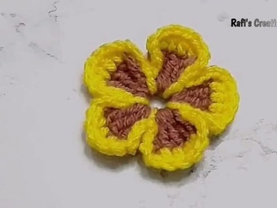 Crochet flower.কুশিকাটার ফুল।