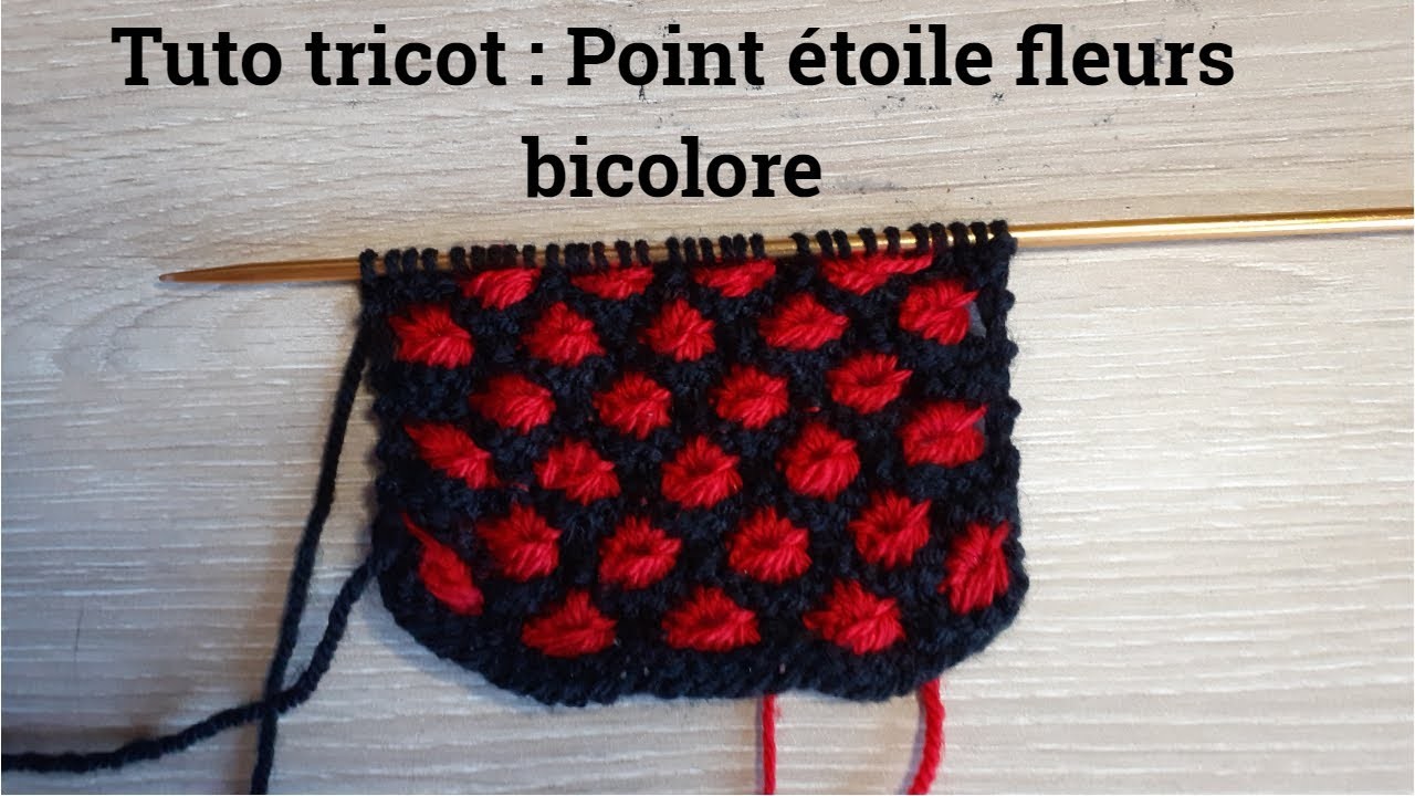 Tuto point étoile fleurs bicolore au tricot