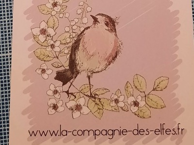 La Compagnie des elfes + code promo youpiiiii