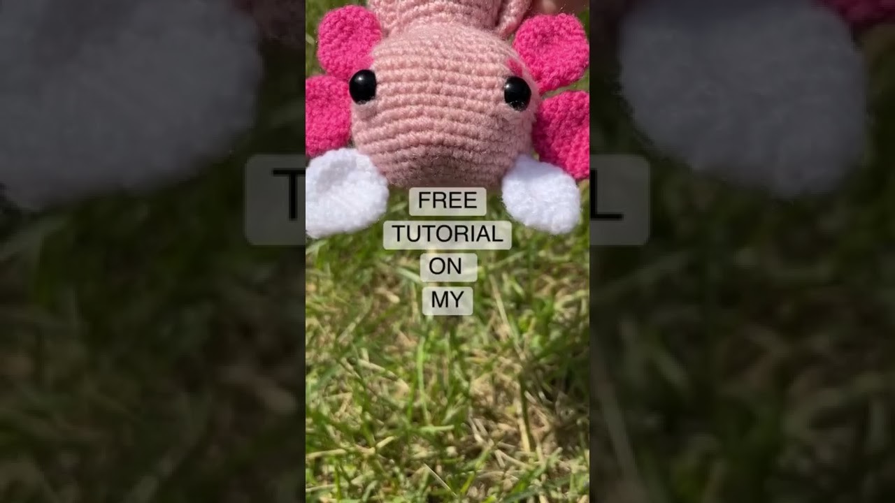 Free Pattern #amigurumi #crochet #axolotl