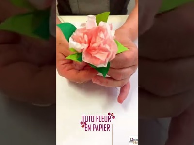Tuto Fleur en papier | Papier de Soie et Papier Népalais | DIY L'Atelier Chez Soi