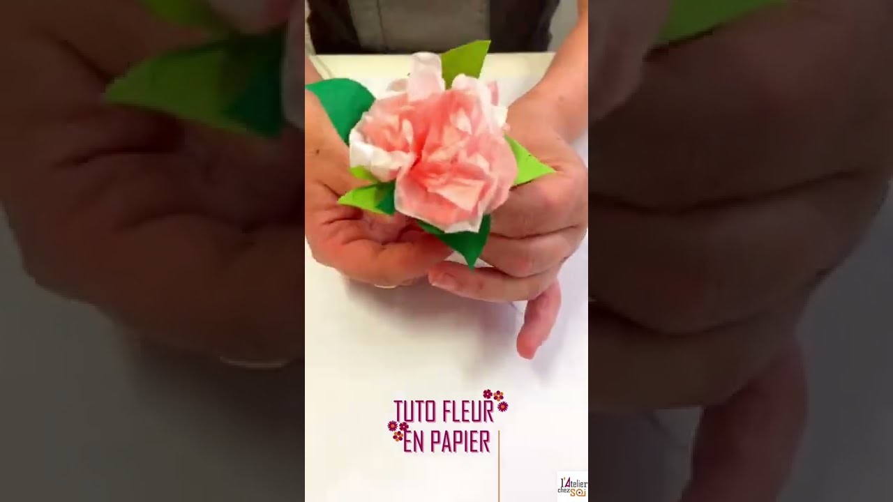 Tuto Fleur en papier | Papier de Soie et Papier Népalais | DIY L'Atelier Chez Soi
