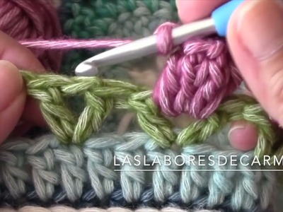 V39 EL UNIVERSO DE SOFÍA