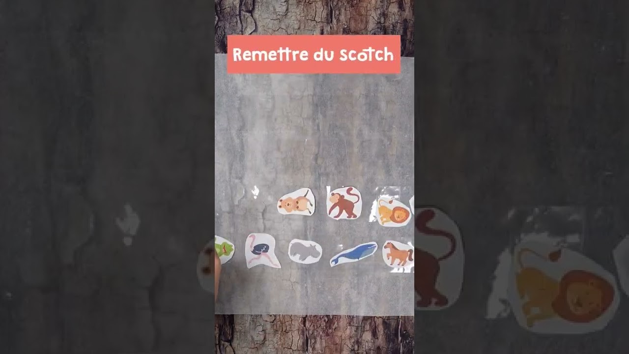 Créer un alphabet des animaux avec ses autocollants #shorts #montessori #tuto