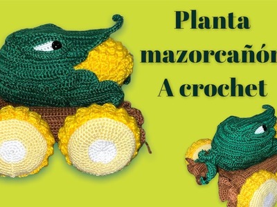 Planta mazorcañon a crochet- parte 4