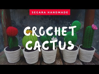 CROCHET : AMIGURUMI CACTUS || Boneka kaktus rajut mini || Rajutan kaktus #short #amigurumi