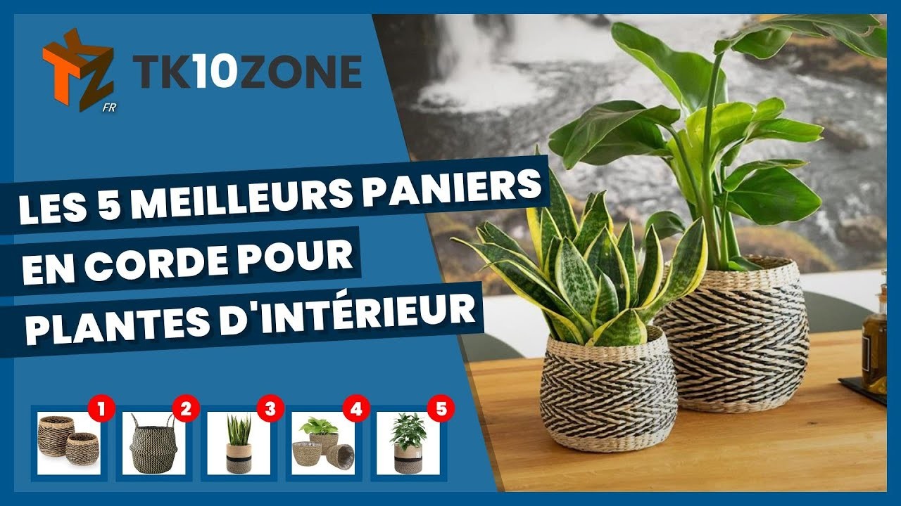 Les 5 meilleurs paniers en corde pour plantes d'intérieur