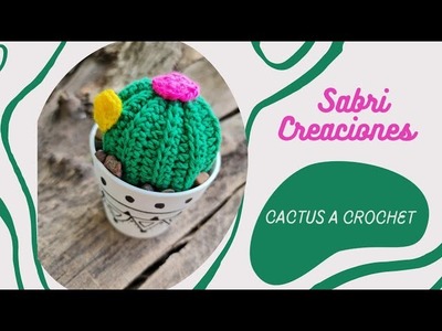 ????????CACTUS A CROCHET ????????