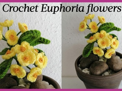 Crochet Euphoria flowers