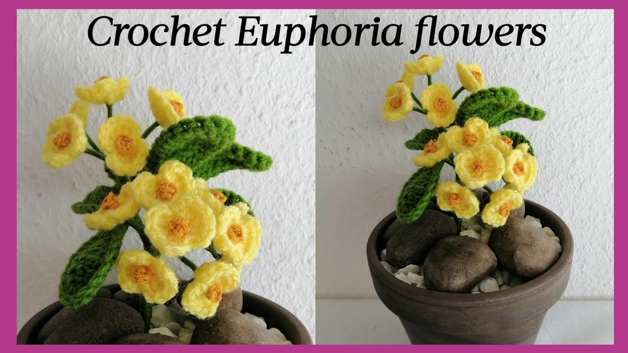 Crochet Euphoria flowers