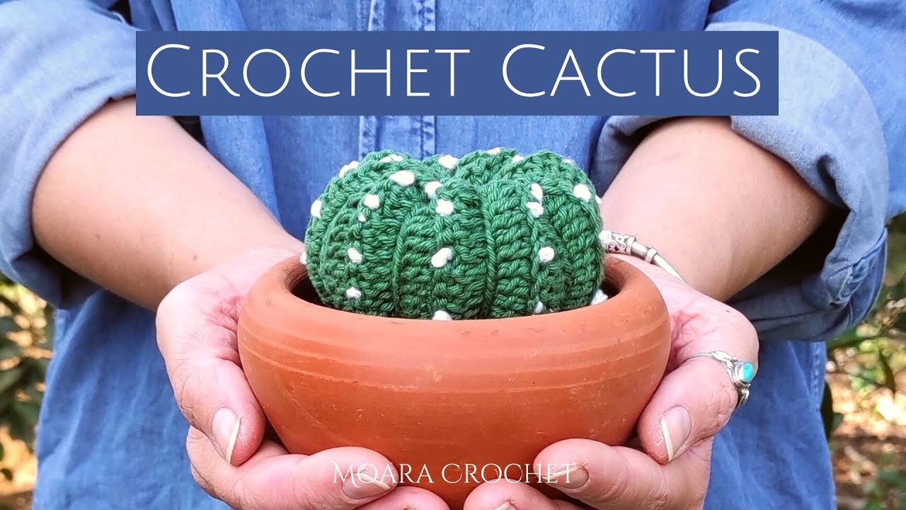 Crochet Cactus Pattern   Moara Crochet
