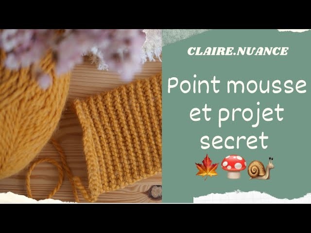 Projet secret avec un échantillon de point mousse, pour crocheteuse, ou l’art de la maille coulée!!