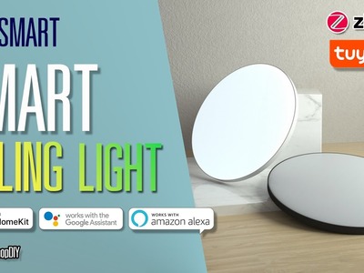 ????Zemismart Smart Ceiling Light (Zigbee) - โคมไฟเพดานอัจฉริยะ