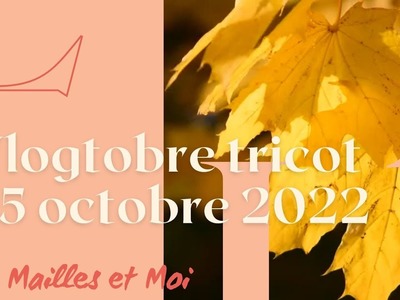 Vlogtober Tricot 25 octobre : Chaussette de l'avent terminée !!  - Des Mailles et Moi