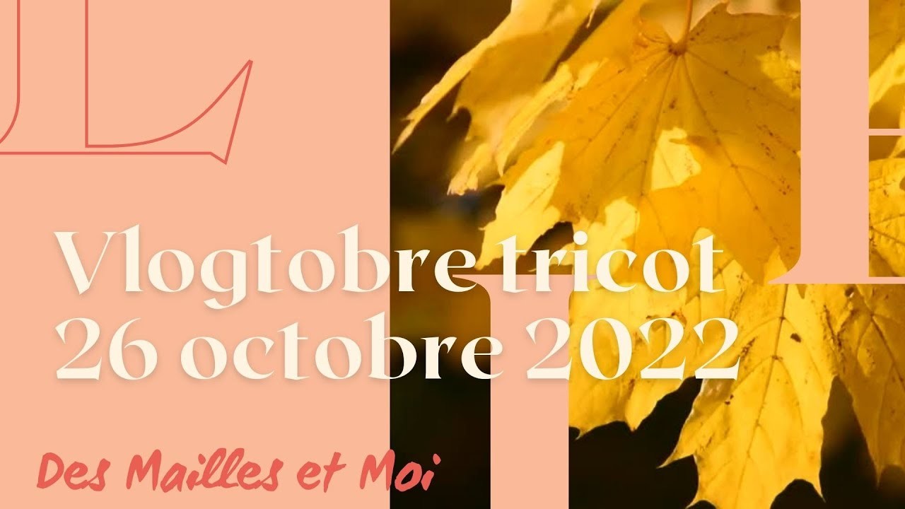 Vlogtober Tricot 26 octobre : Jacquard et échantillon - Des Mailles et Moi