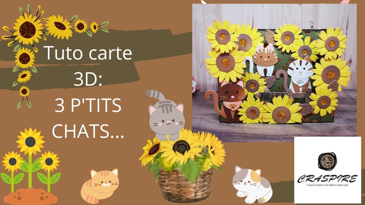 Tuto carte 3D (partenariat Craspire)