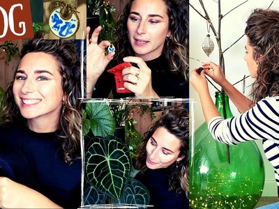 VLOG : Plantes, Bijoux, Décorations de Noël et tirage au sort et un nouveau CONCOURS pour vous !! ????