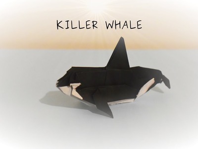 Origami - Orca Killer Whale シャチ (Fukuroi Kazuki)