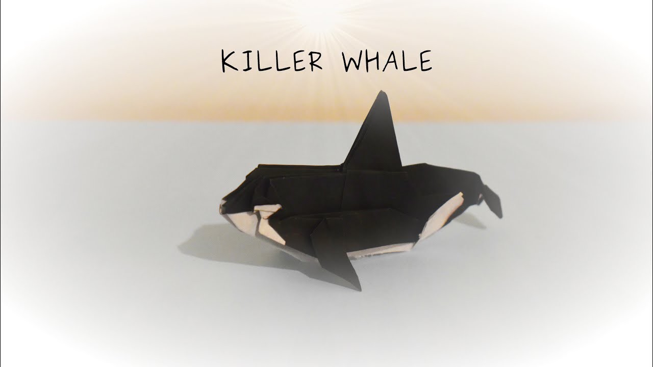 Origami - Orca Killer Whale シャチ (Fukuroi Kazuki)