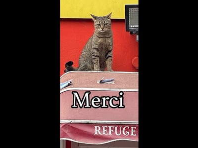 Concours cartes  Refuge ????Merci Nathalie B N°42, Flo univers scrap N° 43, Sylvie P N°44  Tina N°45