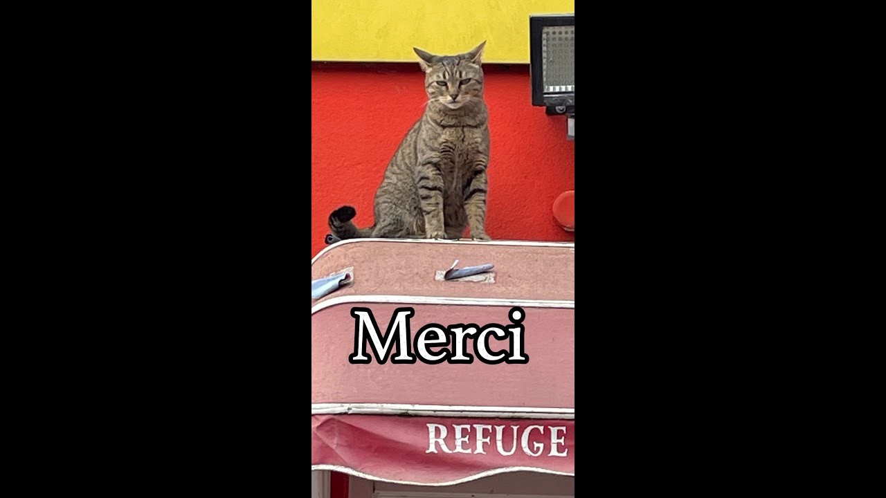 Concours cartes  Refuge ????Merci Nathalie B N°42, Flo univers scrap N° 43, Sylvie P N°44  Tina N°45
