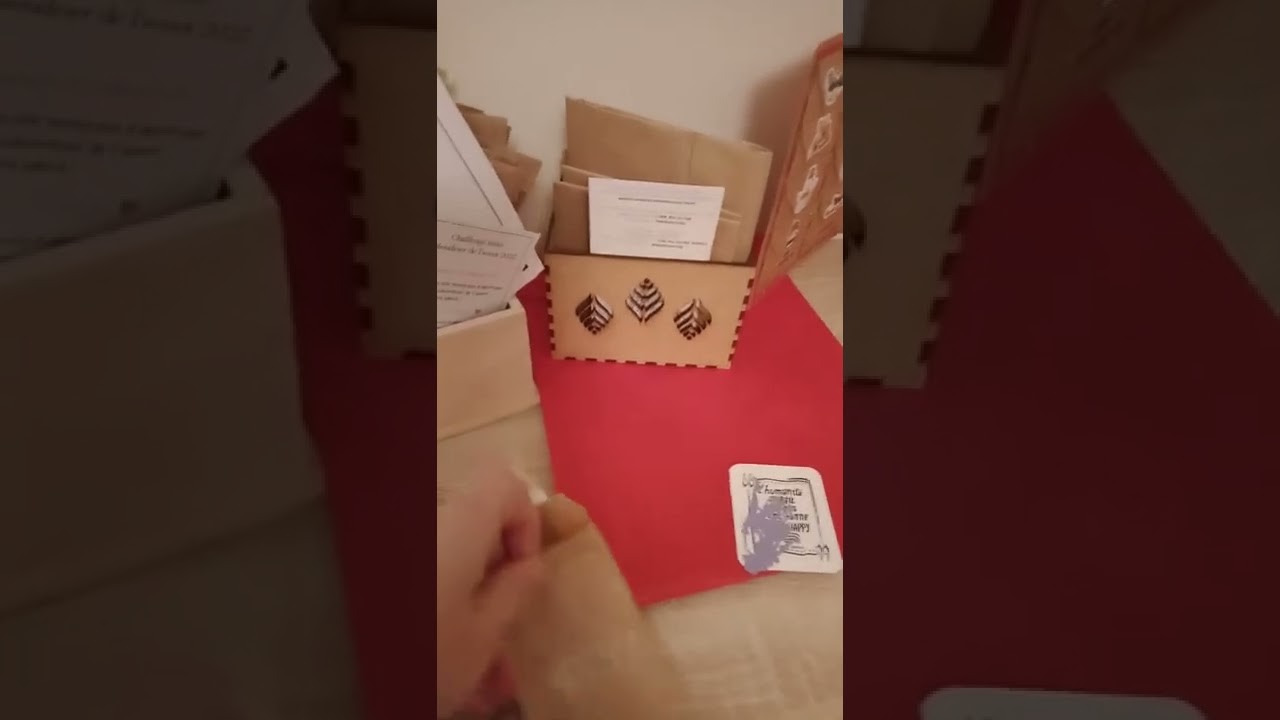 Ouverture de mes calendriers de l'Avent, Scrap Didi, la fée du scrap, et ma Tinou !