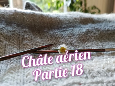 ????Châle Aérien Partie 18